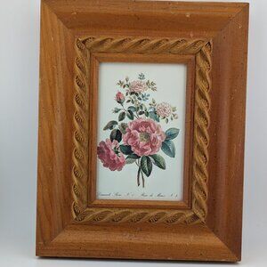 4'' X 6'' Damask Rose N.1 Rose de Meux N.2 by John Edwards in a wood frame